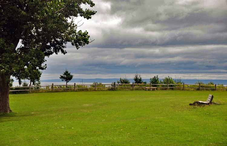 park setting